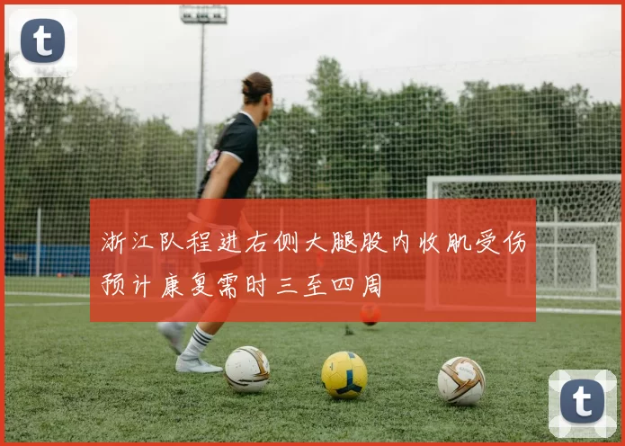 浙江队程进右侧大腿股内收肌受伤预计康复需时三至四周