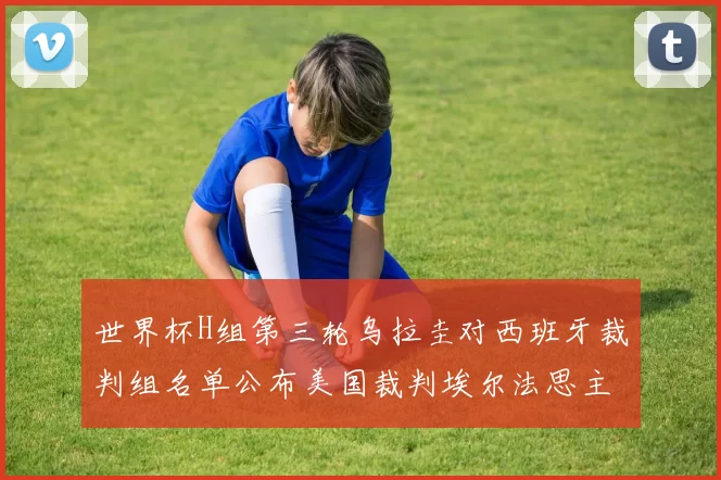 世界杯H组第三轮乌拉圭对西班牙裁判组名单公布美国裁判埃尔法思主裁判
